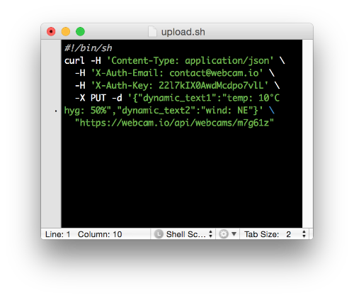 Dynamic text via API